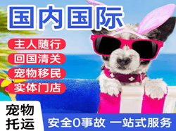 南通兴东航空空运国际宠物托运 【国